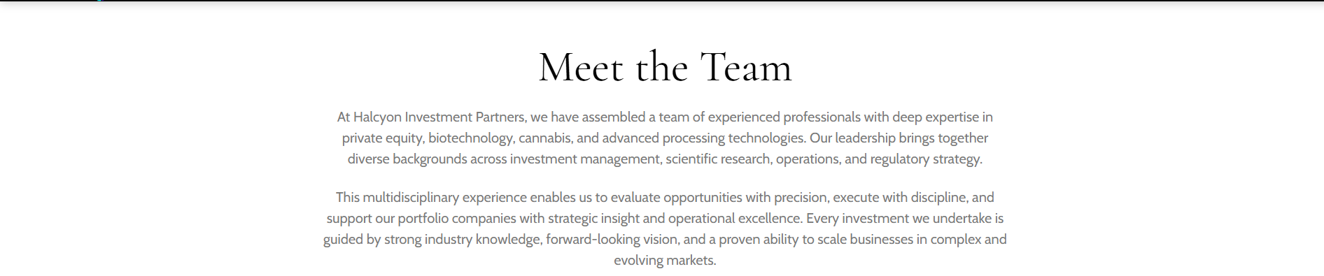 Meet the Team at Halcyon Investment Partners