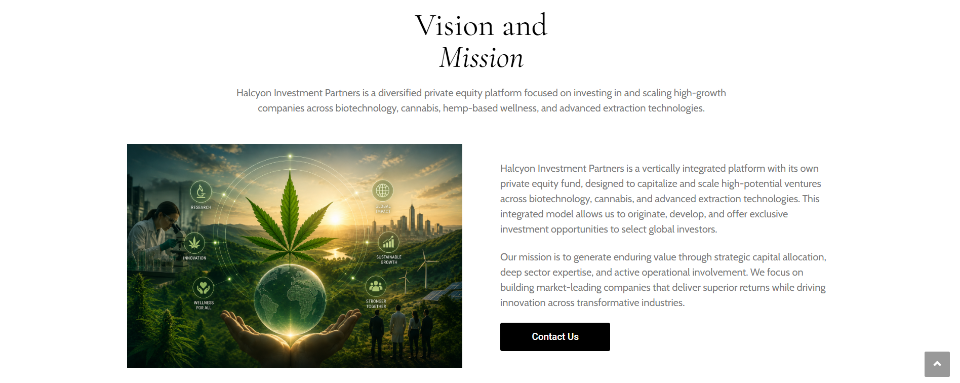 Vision and Mission of Halcyon Investment Partners